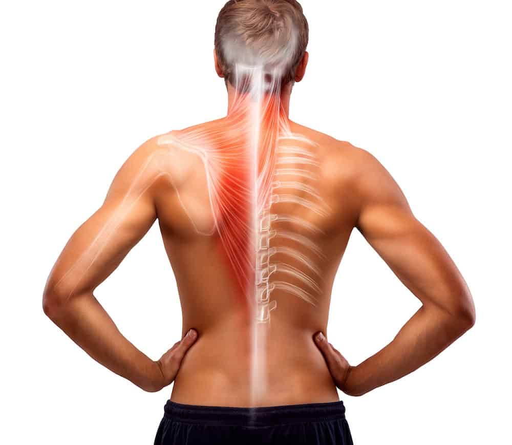 posture posturologie osteopathie SFO troubles articulaires