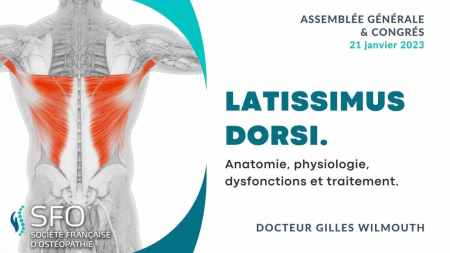 Latissimus dorsi. : Anatomie, physiologie, dysfonctions et traitement présenté par le Dr Gilles Wilmouth congrès SFO 2023