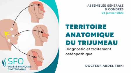 Diagnostic et traitement ostéopathique à partir du territoire anatomique du trijumeau présenté par le Dr Abdel TRIKI congrès SFO 2023