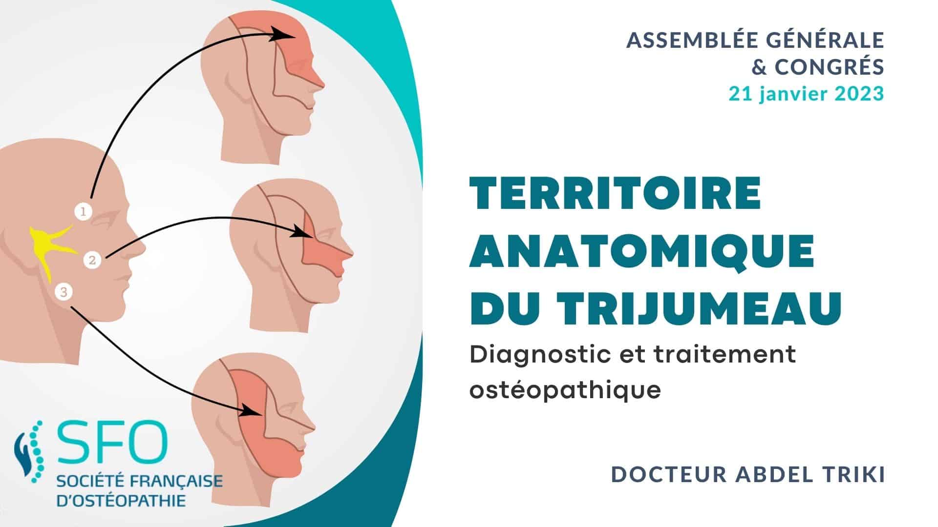 Diagnostic et traitement ostéopathique à partir du territoire anatomique du trijumeau présenté par le Dr Abdel TRIKI congrès SFO 2023