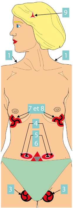 digestion du lactose en galactose-intolerance au lactose- sfo-osteopathie