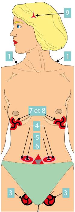 digestion du lactose en galactose-intolerance au lactose- sfo-osteopathie